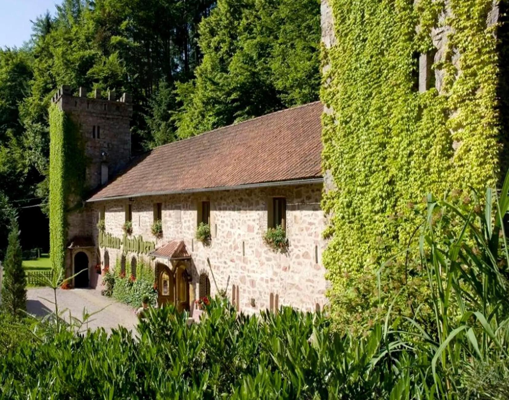 Le Chateau Du Landsberg Barr Εξωτερικό φωτογραφία