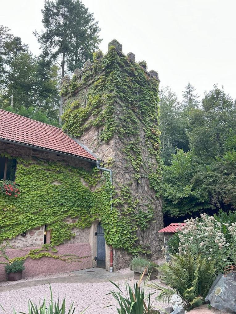 Le Chateau Du Landsberg Barr Εξωτερικό φωτογραφία